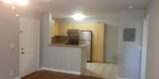4096 N Pine Island Road Gallery 5