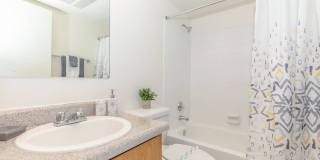 Metro Tucson Gallery 33