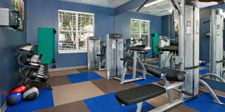 Bexley at Davidson Gallery 6