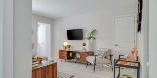 Verve 261 Gallery 10