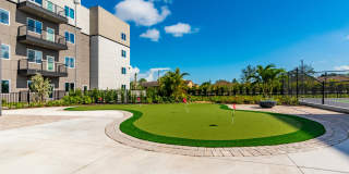 Parasol Melbourne - 55+ Active Adult Apartment Homes Gallery 53