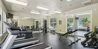 Escalante Gallery 19