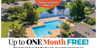 Regatta Bay Gallery 1