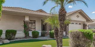 1687 E CAROB Drive Gallery 4