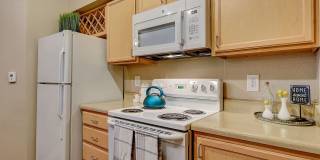 Springs At Live Oak Gallery 3