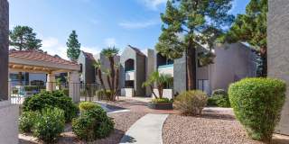 Paseo 51 Gallery 2