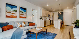 Legacy at Fitz Gallery 1