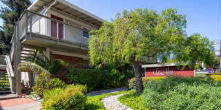 Walnut Hill Gallery 19