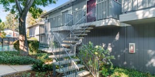 Pruneyard West Gallery 44