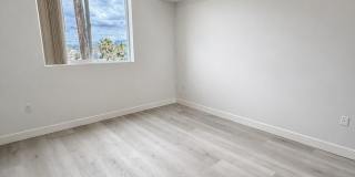 The Rosenell Gallery 218