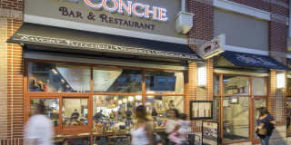 Windsor Leesburg Gallery 42