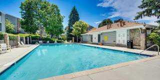 Beautifully Remodeled | 1 Bed · 1 Bath | Pet Friendly Gallery 19