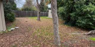 4 Bedroom 2 Bath Home in Old Davis Near Campus Gallery 24