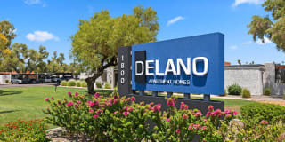 Delano Delano Gallery 20