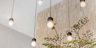 The MINN Gallery 20