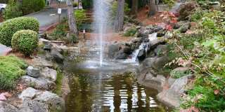 Roxclif Court Gallery 48