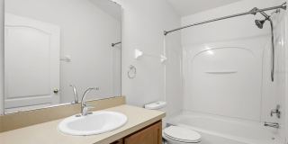 3310 PINE OAK Trail Gallery 18