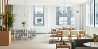 The Odeon Gallery 14