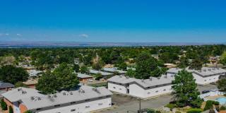 Pine Lane Apartments Gallery 14