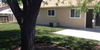 Recently Remodeled Four Bedroom Rosemont Home with Large Backyard! Gallery 12