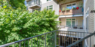 7 Cameron Gallery 6