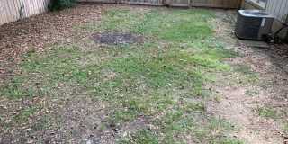 817 Robin Hood Trail Gallery 29