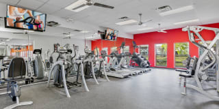 Northgreen at Carrollwood Gallery 39