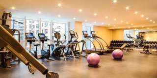 325 Lexington Avenue Gallery 6