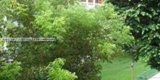 7800 Camino Real Gallery 1