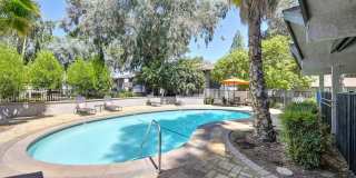 Pinewood Apartments Gallery 1