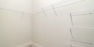 Vintage Johnson City Gallery 46