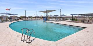 The Nexus at Bella Vista Gallery 27