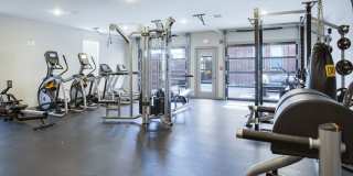 Thrive Argenta Gallery 81