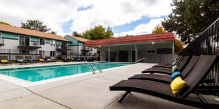 The Element The Element Gallery 1