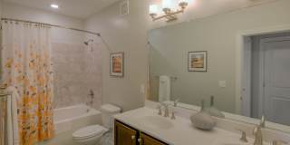 CovePointe at The Landings Gallery 7