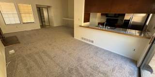 Live in the Timbers Gallery 7