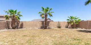36840 W Oliveto Avenue Gallery 30