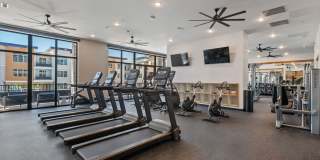 Elevate at 620 Gallery 55