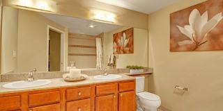 The Artiste Apartment Homes Gallery 14