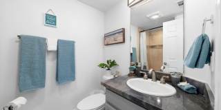 3901 Ocean Front Walk Gallery 13