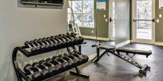 Lumen Heights Gallery 39