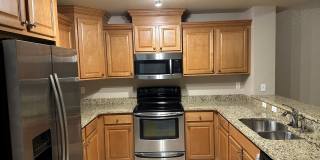 Cape Commons Gallery 4