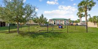 Buena Vista Gallery 88