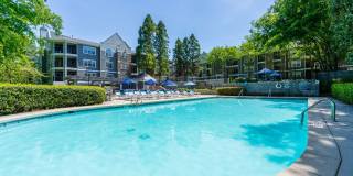 ARIUM Lenox Park Gallery 19