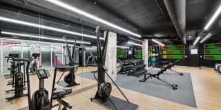 Collection 14 Gallery 14