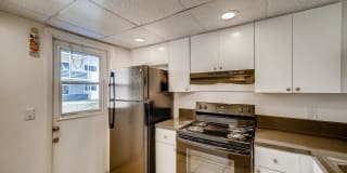 Spectra Palms Gallery 10