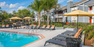 Northgreen at Carrollwood Gallery 18