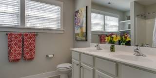Available early July! Adorable 3 bedroom home in Downtown with fenced yard! Gallery 24