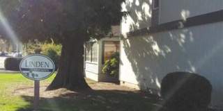 Linden Apartments Gallery 17