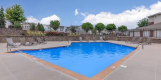 Springhill Ridge Gallery 23